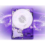WD60PURX